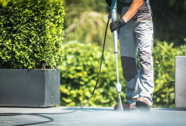 Best Paint Preparation  in Marshfield, MO