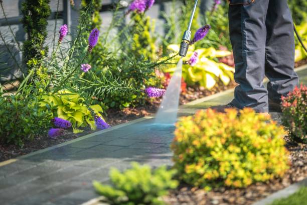  Marshfield, MO Pressure Washing Pros