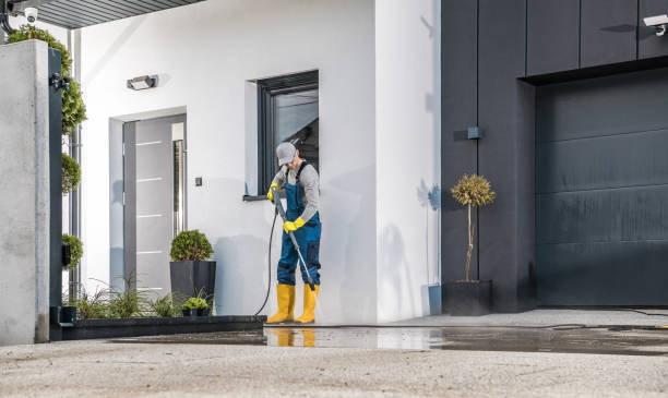 Best Gutter Cleaning  in Marshfield, MO